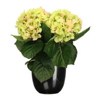 Hortensia kunstplant/kunstbloemen 36 cm - groen/roze - in pot zwart glans