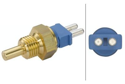 Temperatuursensor 6PT009107391