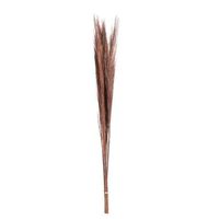Droogbloemen Broom Gras - 100 cm - Leen Bakker - thumbnail