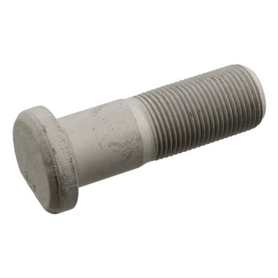 Wielbout 107498