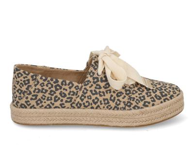 Toms Carolina lace 10023047 beige multi bruin maat 40