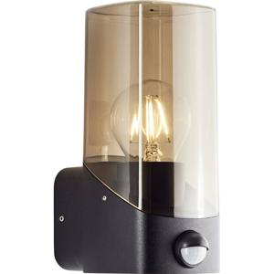 Brilliant Minou 44311/93 Buitenlamp (wand) E27 Zwart, Rookglas