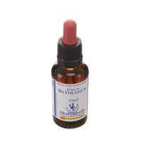 Healing Herbs Star Bethlehem 30ml