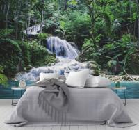 Fotobehang natuur tropisch met waterval