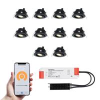 Set van 10 Sienna Smart LED Mini Inbouwspots - Veranda spots - 12V 3W 200lm - Dimbaar - Kantelbaar - Wifi & Bluetooth - 2700K - IP44 - Zwart