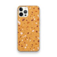 Terrazzo N°24: iPhone 12 Pro Transparant Hoesje