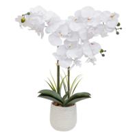 Orchidee bloemen kunstplant in sierlijke witte bloempot - witte bloemen - H60 cm - thumbnail
