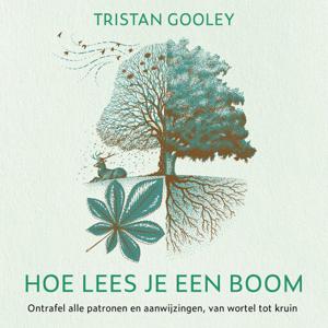 Hoe lees je een boom