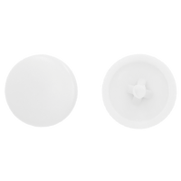 pgb-Europe PGB-FASTENERS | Afdekkap PZ 2 (12mm) R9010 0AFD02N00002090105 pgb-Europe PGB-FASTENERS | Afdekkap PZ 2 (12mm) R9010 0AFD02N00002090105
