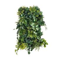 Kunstplantenwand LUSH Victoria 1 m2