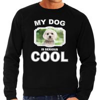 Maltezer honden sweater / trui my dog is serious cool zwart voor heren - thumbnail