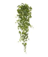 Maple kunst hangplant 130cm - groen