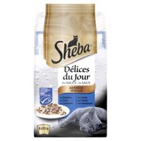 Kattenvoer Delices du Jour Vis maaltijdzakjes multipack 6x50 g 1x6 - Sheba