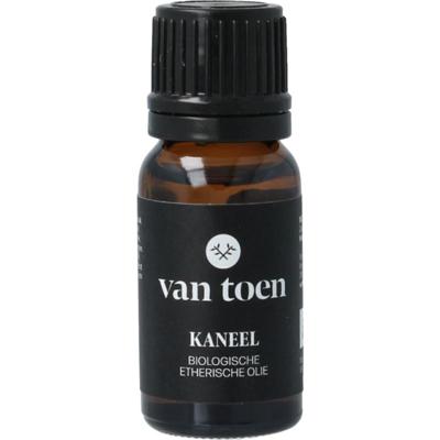 Van Toen Kaneel bio