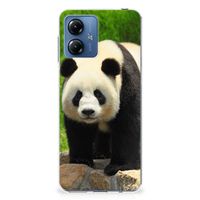 Motorola Moto G14 TPU Hoesje Panda