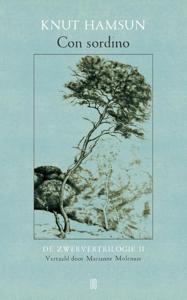 Con sordino (Paperback)