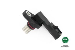 Nokkenassensor 81563