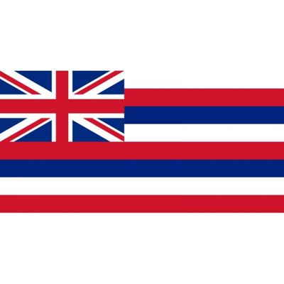 Vlag Hawaii - 90 x 150 cm - landen thema vlaggen - polyester