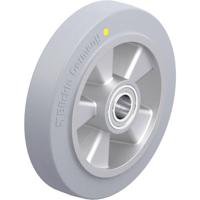 Blickle ALEV 200/25K-SG-AS Wiel met hoog draagvermogen Wieldiameter: 200 mm Draagvermogen (max.): 450 kg 1 stuk(s)