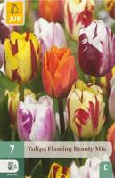 Tulp flaming beauty mix 7 bollen