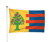 Vlag Hitzum - Hitsum (fr)