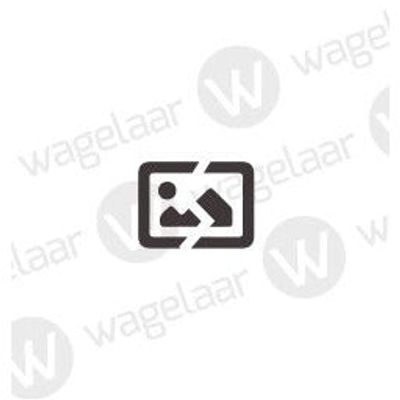 Lamphaak Kroonbevestiging Zink | P10