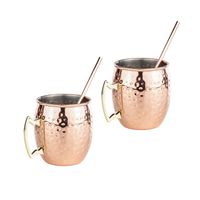 Set van 4x Cocktailbekers/cocktailglazen Moscow Mule 500 ml met drinkrietjes