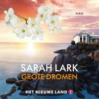 Grote dromen