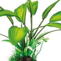 Sf art plant 25 cm cryptocoryne - Superfish
