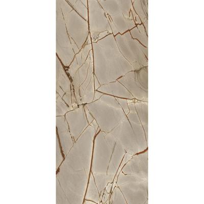 Douglas & Jones Vloertegel 120x280 cm Magnum Glans Rainforest - Vloertegel 120x280 cm Magnum Glans Rainforest (prijs Per Tegel)