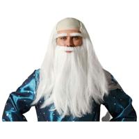Pruik Grijs Oudere
