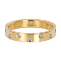 iXXXi Vulring Zirconia 14 Stones Goud | Maat 16