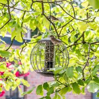 Beschermsilo voor kleine vogels Athena