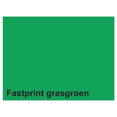 Quantore Kopieerpapier fastprint a4 160gr grasgroen 50vel