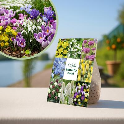 &apos;Vlinder & Bij 6 maanden Bloei&apos; bollen mix - 50 stuks