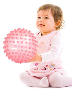 Activiteitenbal - LUDI rozen