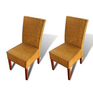 The Living Store Stoelenset Rattan - 45 x 62 x 93 cm - Handgeweven - Massief mangohout - Set van 2