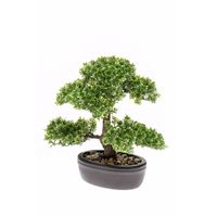 Kantoor kunstboompje Ficus Mini Bonsai 32 cm - thumbnail