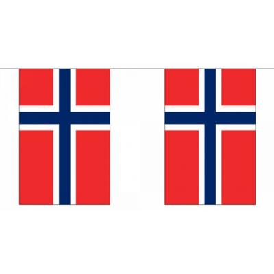 Noorwegen vlaggetjes vlaggenlijn - 900 cm - polyester stof - binnen en buiten - landen versiering