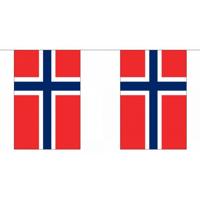 Noorwegen vlaggetjes vlaggenlijn - 900 cm - polyester stof - binnen en buiten - landen versiering
