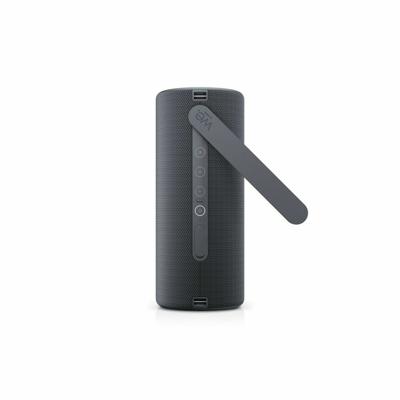 Draagbaar luidsprekersysteem Loewe We. HEAR 2 Grijs 15 W 60 W Bluetooth luidspreker