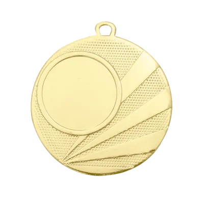 Sportprijzen Leiden Medaille D112H