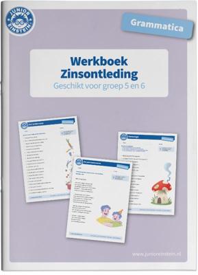 Zinsontleding Werkboek Grammatica voor groep 5 en 6 (Paperback)