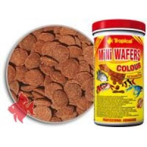 Tropical Mini Wafers Colour 150ml