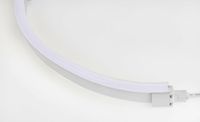 LED Neon Flex Flat Professional wit 24V 5700K 10M met aansluitkabel 110-041