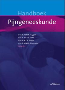 Handboek pijngeneeskunde (Hardback)