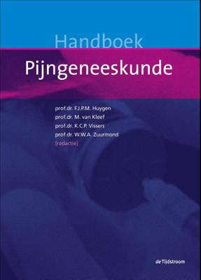 Handboek pijngeneeskunde (Hardback)