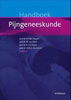 Handboek pijngeneeskunde (Hardback)