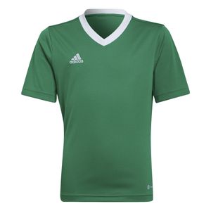 adidas Entrada 22 Voetbalshirt Kids Groen Wit