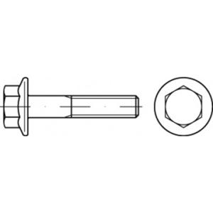 TOOLCRAFT TO-5391429 Zeskantbout M5 16 mm Buitenzeskant Staal Galvanisch verzinkt 500 stuk(s)